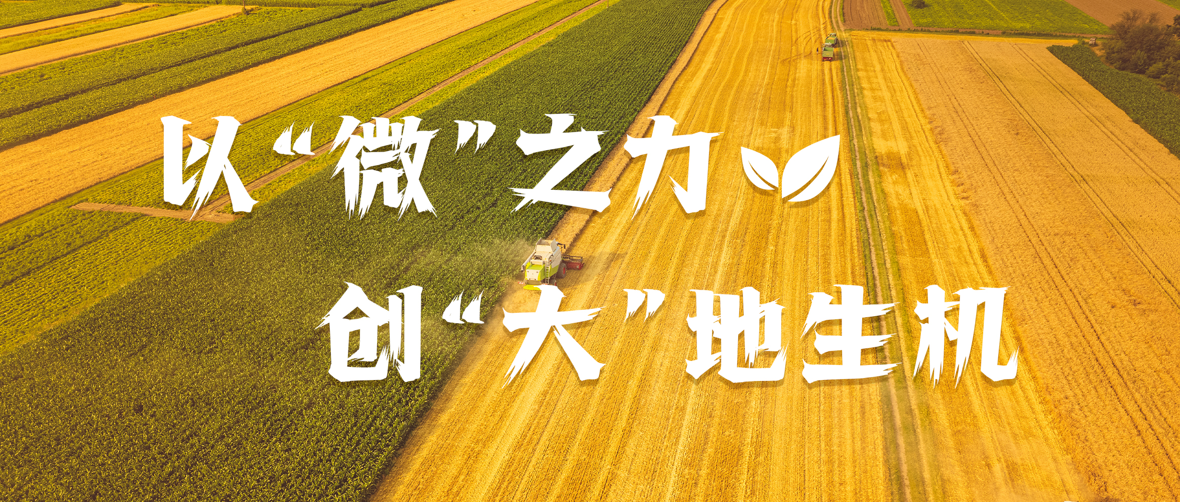&#20247;&#24425;&#23448;&#32593;&#45;&#40;&#20013;&#22269;&#41;&#32929;&#20221;&#26377;&#38480;&#20844;&#21496;